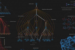 Photograph courtesy of http://www.wolframphysics.org/